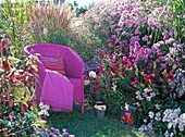 Herbst Stauden rosa pink Sitzplatz