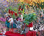 Gift basket with Capsicum (chilli), Ocimum (basil)