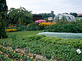 Garden with vegetable beds, flowerbeds and greenhouse