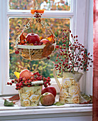 Malus (Äpfel), Rosa (Hagebutten) in Eimer und Kanne, Hängekorb mit Äpfeln