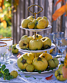 Cydonia (yellow quince) on white etagere on table, glasses