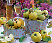 Cydonia (quince) in tin cans with floral motifs