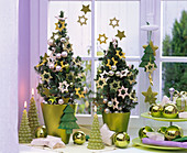 Picea glauca 'Conica' (Zuckerhutfichte) mit silbernen Weihnachtsbaumkugeln