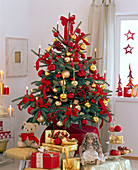 Picea pungens 'Glauca' (Blaue Stechfichte) als Weihnachtsbaum