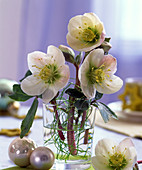 Helleborus niger (Christmas roses) in glass, white Christmas tree balls