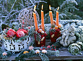 Adventskranz mit orangen Kerzen, Abies nordmanniana (Nordmanntanne), Citrus