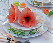 Festive amaryllis table decoration