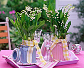 Convallaria majalis (Lily of the Valley) in ceramic boxes on a pink tray