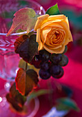 Gelbe Rosa (Rose) und Vitis (Wein, Weintraube) an Trinkglas