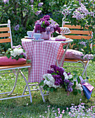 Syringa (Flieder) in rosa Vase auf Tisch, Espressotassen, Kuchen