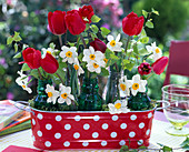 Tulipa (Tulpen) und Narcissus (Narzissen) in kleinen grünen Flaschen