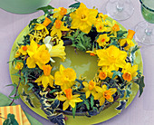 Narcissus, Hedera and Forsythia wreath