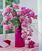 Bouquet of Phalaenopsis and Cytisus