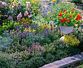 Herb bed with thymus (thyme), lavandula (lavender)