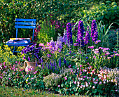 Blue-purple-pink bed with delphinium (delphinium), geranium