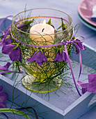 Windlicht mit Campanula (Glockenblumen), Blättern von Anethum (Dill)