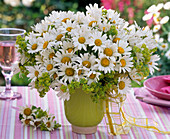 Bouquet of leucanthemum and alchemilla