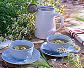 Chamomilla recutita syn Matricaria recutita, jug and cups