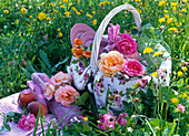 Roses in and beside picnic basket, dishes, bottle, cloth, blanket