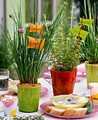 Herb table decoration