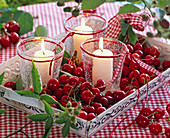White pillar candles in glasses on metal tray with Prunus, Rubus