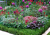 Beet with perennials and herbs, rosemary as bedding border