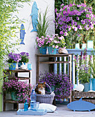 Maritime Balcony with Petunia Dreams 'Sky Blue' Calimero 'Pink Vein'