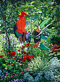 Colourful wind chime with rooster in bed