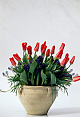 Tulipa 'Rose Emperor' (tulips), Hyacinthus (hyacinths), Muscari