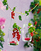 Lantern with Ribes (Currants) hanging on string