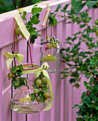 Lantern with Ribes (gooseberries) and chequered bows on balcony railings