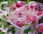 Windlichter mit Blüten von Hydrangea (Hortensien), Bändern und Teelichtern