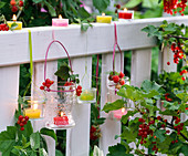 Windlichter mit Ribes (Johannisbeeren) und bunten Teelichtern an Zaun