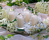 Hydrangea (Hortensien, weiß) auf Tablett mit weißen Kerzen in Gläsern