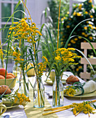 Small bouquets of Solidago (Goldenrod), grasses, peddigree