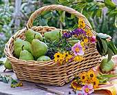 Korb mit Pyrus (Birnen), Salvia (Salbei), Coreopsis (Mädchenauge), Anemone