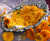 Blütenblätter von Calendula (Ringelblumen) auf Tuch in silberner Schale