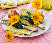 Helianthus (Sonnenblumen), Malus (Apfel), auf