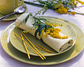 Solidago (goldenrod) with grass on napkin, light green