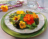 Blüten von Tropaeolum (Kapuzinerkresse) in Lactuca (Salat), Allium