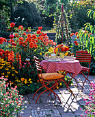 Terrace bed with Dahlia, Gladiolus