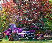 Wooden lounger in front of autumn bed with Amelanchier (rock pear)