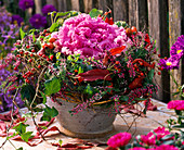 Brassica (ornamental cabbage) decorated with heather, ivy, rosehips