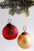 Red and golden Christmas tree balls on a branch of Pseudotsuga (Douglas fir)