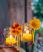 Tropaeolum on screw jars as hanging lanterns