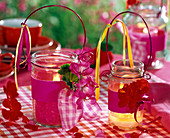 Pelargonium (geranium) on screw jars as lanterns