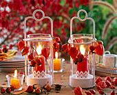 Portable wind Lights with lanterns