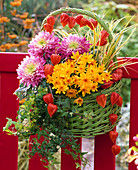 Grüner Henkelkorb mit Chrysanthemum (Herbstchrysanthemen)