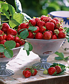 Fragaria (strawberries) in shell