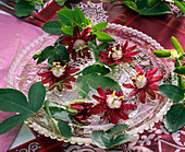 Passiflora 'Lady Margaret' (Passionsblume), ranken, Blätter und Blüten
